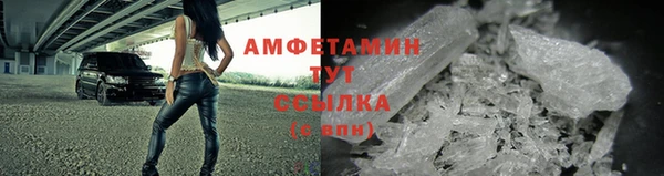 гидра Абаза