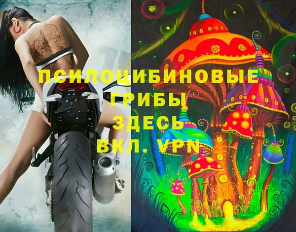 гидра Абаза
