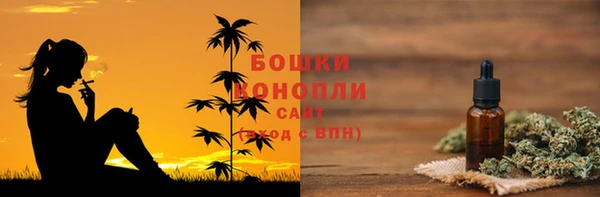 гидра Абаза
