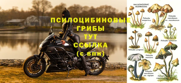гидра Абаза