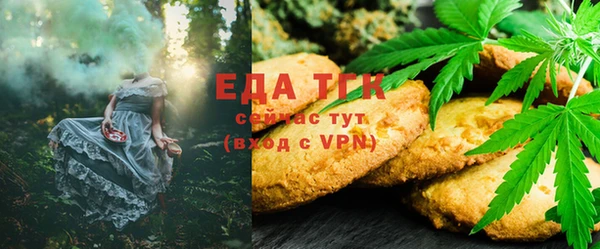 гидра Абаза