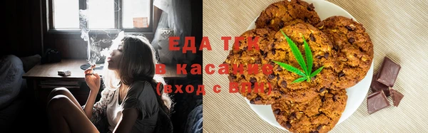 гидра Абаза