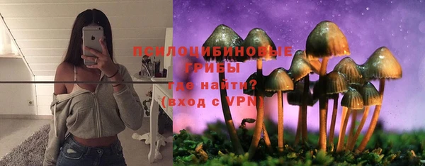гидра Абаза