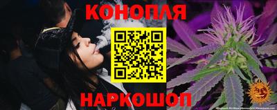 спиды Новозыбков