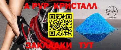 спиды Новозыбков