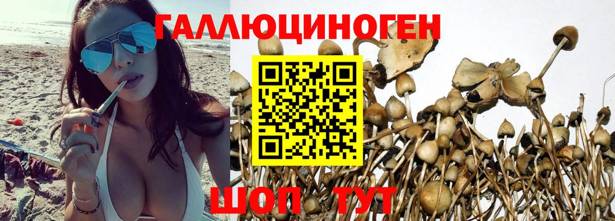 Соликамск  Галлюциногенные грибы прущие грибы  Псилоцибиновые грибы ЛСД  Вход с VPN 