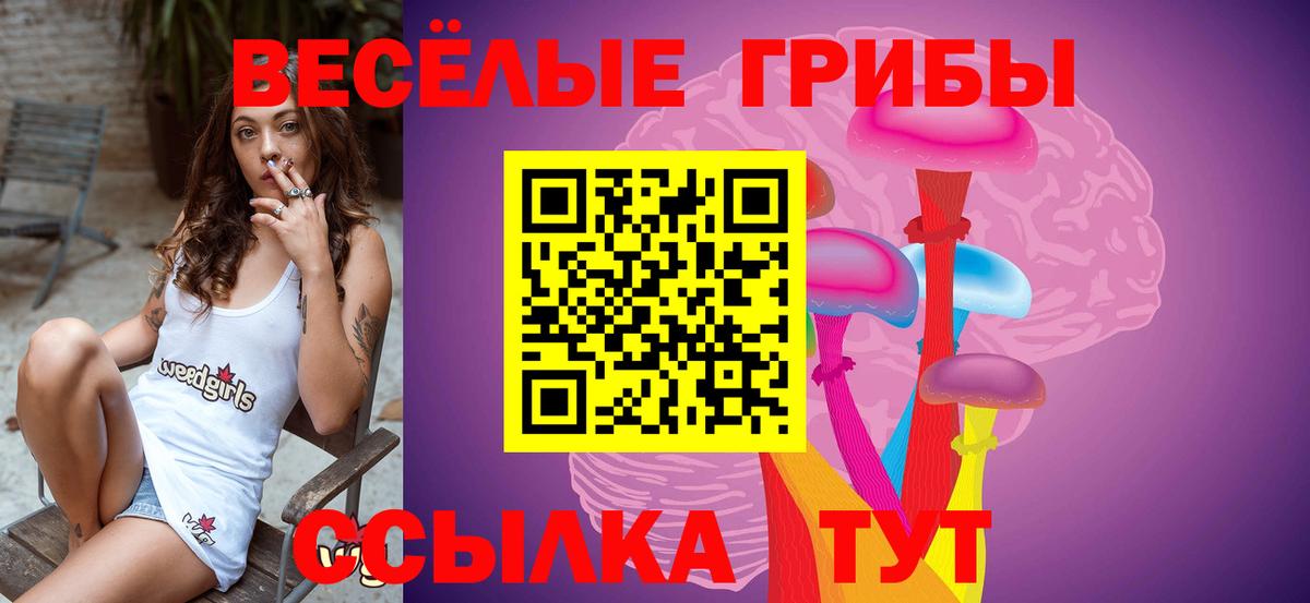Галлюциногенные грибы прущие грибы Соликамск